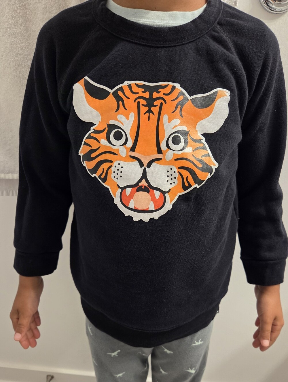 Whistle & Flute - Kids Black Sweatshirt with Orange Tiger Graphic - Size 6-7 T